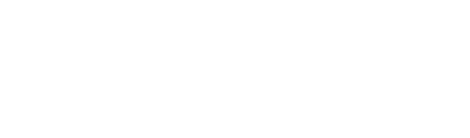 Falka Studio Logo